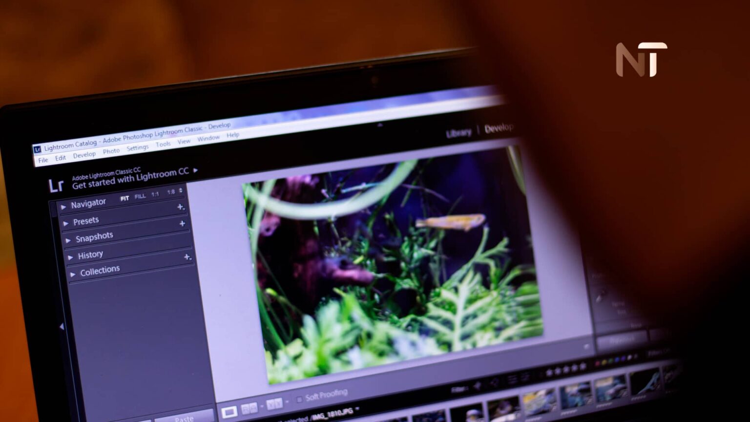 Adobe Lightroom Las 7 Mejores Alternativas